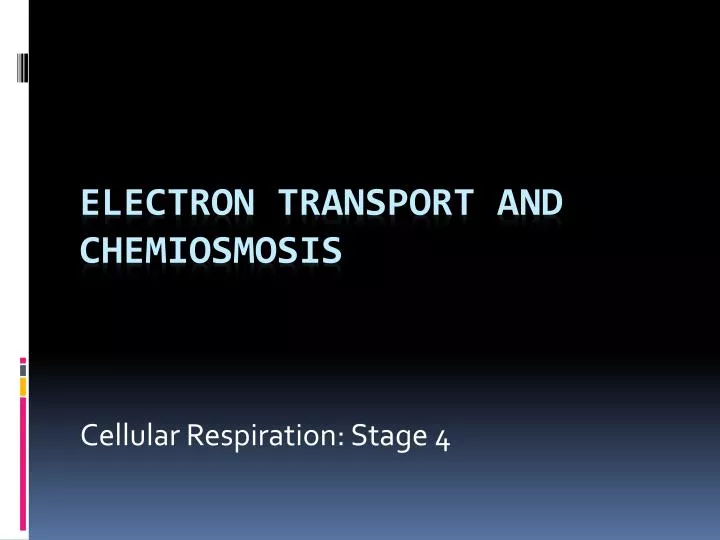 cellular respiration stage 4