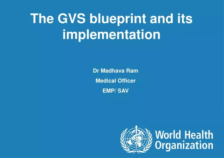 the gvs blueprint and its implementation