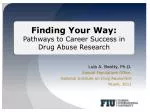 Lula A. Beatty, Ph.D. Special Populations Office, National Institute on Drug Abuse/NIH Miami, 2011