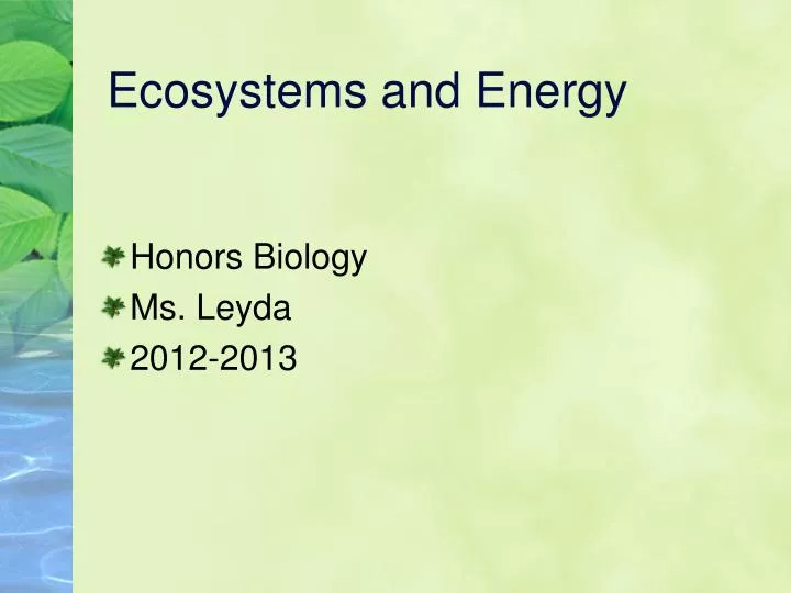 ecosystems and energy