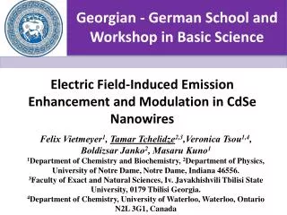 Georgian - German School and Workshop in Basic Science