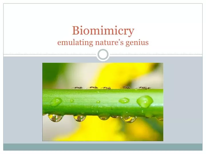 biomimicry emulating nature s genius