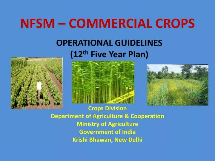 nfsm commercial crops
