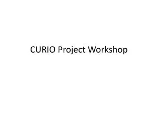CURIO Project Workshop