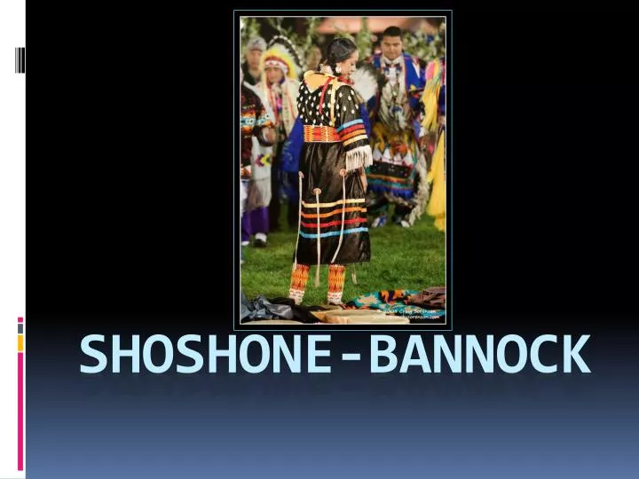 shoshone bannock