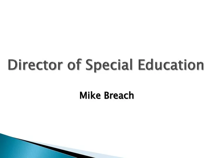 director of special education