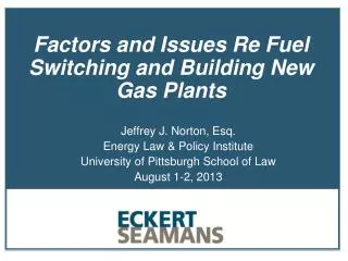 Factors and Issues Re Fuel Switching and Building New Gas Plants