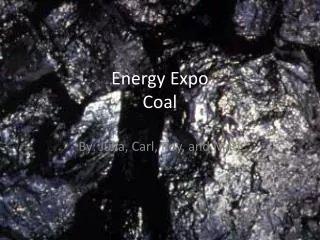 Energy Expo Coal