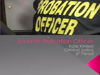 Juvenile Probation Officer