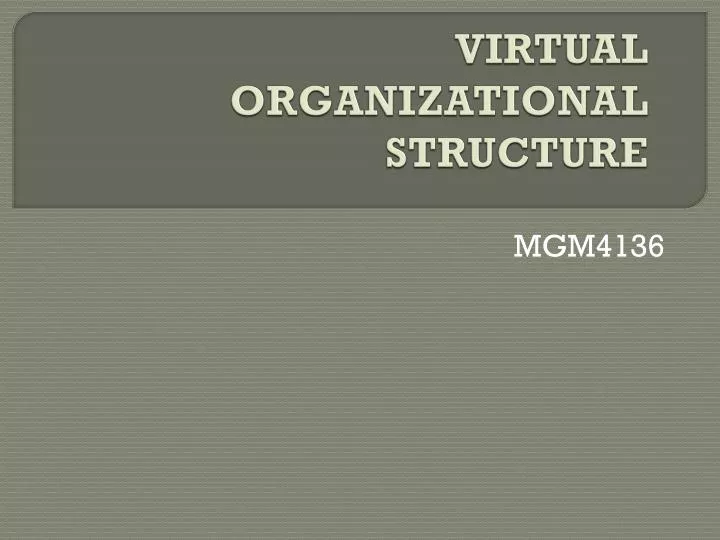 virtual organizational structure