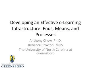 Developing an Effective e-Learning Infrastructure: Ends, Means, and Processes