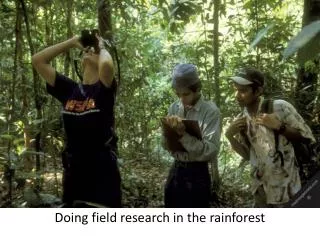 Doing field research in the rainforest