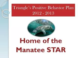 Triangle’s Positive Behavior Plan 2012 - 2013