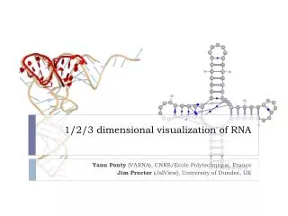 1/2/3 dimensional visualization of RNA