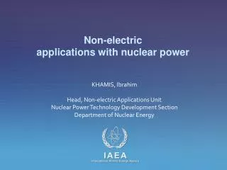 Non-electric applications with nuclear power