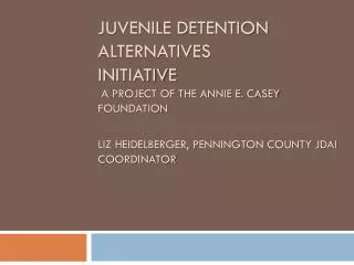 Juvenile Detention Alternatives Initiative A project of the Annie E. Casey Foundation Liz Heidelberger, Pennington Coun