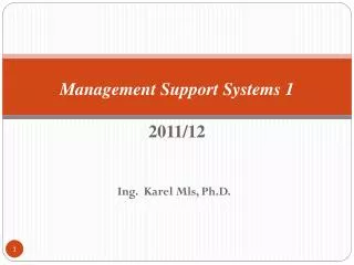 Management Support Systems 1 2011/12