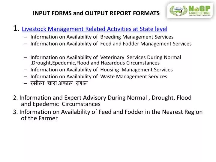 input forms and output report formats