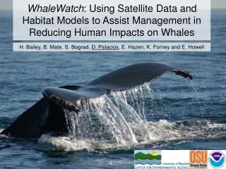 WhaleWatch : Using Satellite Data and Habitat Models to Assist Management in Reducing Human Impacts on Whales