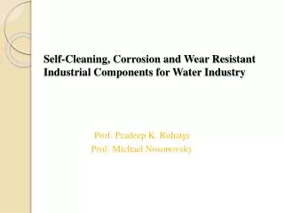 Self-Cleaning, Corrosion and Wear Resistant Industrial Components for Water Industry