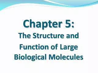 Chapter 5: The Structure and Function of Large Biological Molecules