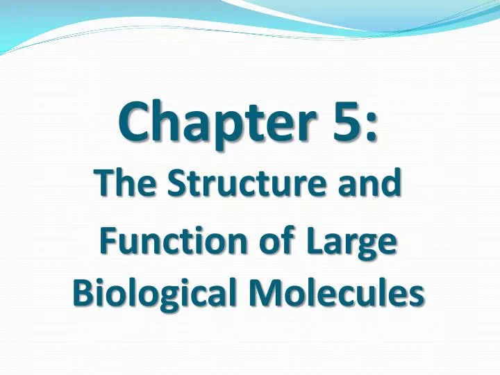 chapter 5 the structure and function of large biological molecules