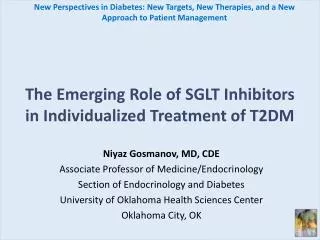 The Emerging Role of SGLT Inhibitors in Individualized Treatment of T2DM