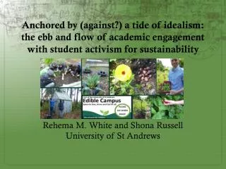 Anchored by (against?) a tide of idealism: the ebb and flow of academic engagement with student activism for sustainabi