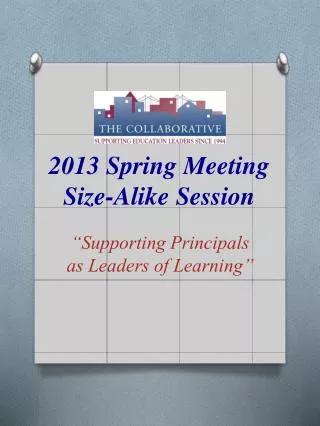 2013 Spring Meeting Size-Alike Session