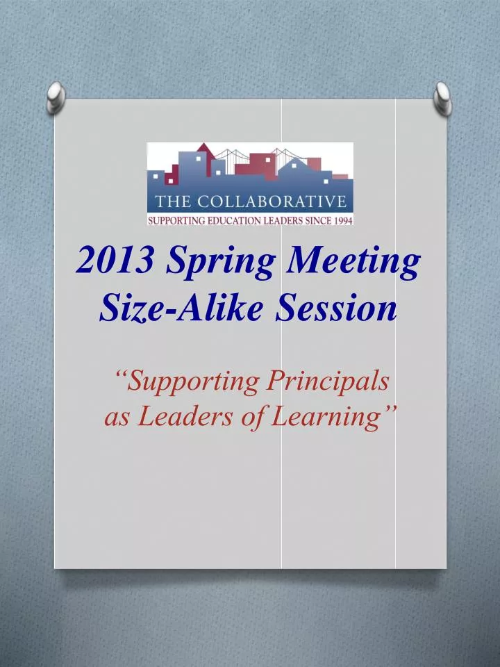 2013 spring meeting size alike session
