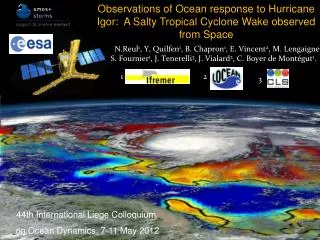 Observations of Ocean response to Hurricane Igor : A Salty Tropical Cyclone Wake observed from Space