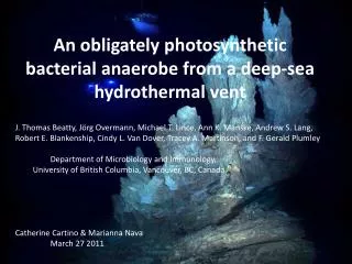 An obligately photosynthetic bacterial anaerobe from a deep-sea hydrothermal vent