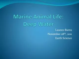 Marine Animal Life: Deep Water