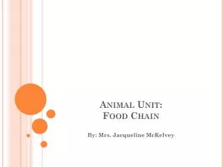 animal unit food chain