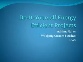 Do-It-Yourself Energy Efficient Projects