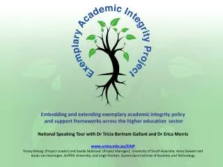 Embedding and extending exemplary academic integrity policy and support frameworks across the higher education sector