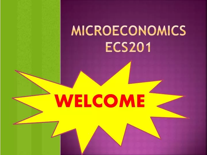 microeconomics ecs201