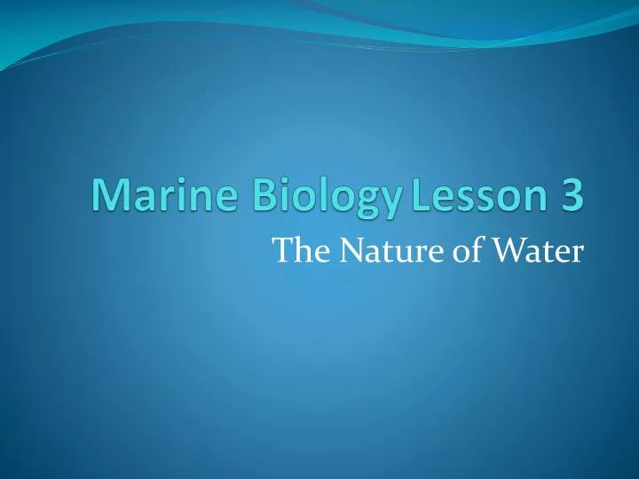 marine biology lesson 3