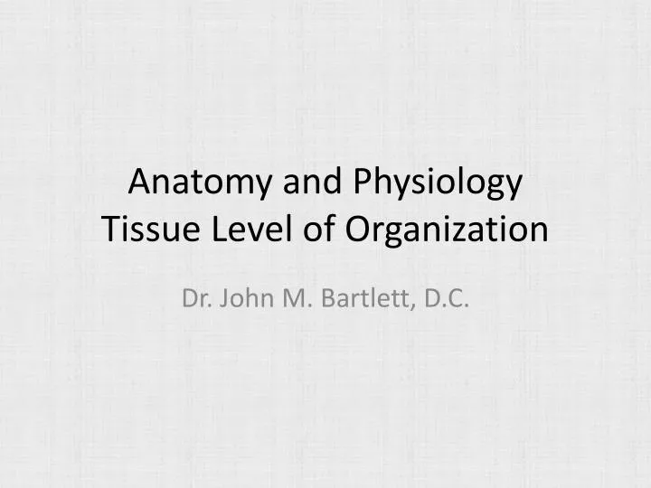 anatomy and physiology tissue level of organization