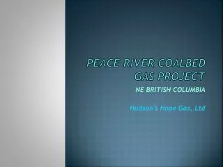 PEACE RIVER COALBED GAS PROJECT