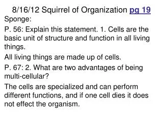 8/16/12 Squirrel of Organization pg 19