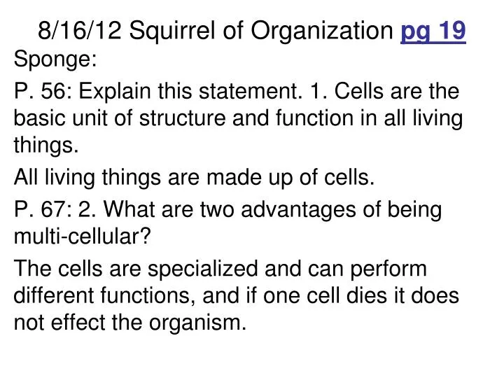 8 16 12 squirrel of organization pg 19
