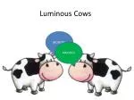 Luminous Cows - slide 1