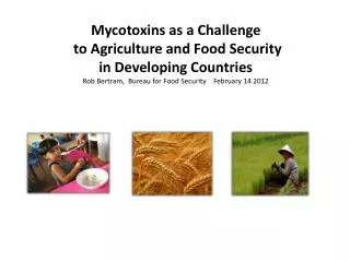 Mycotoxins as a Challenge to Agriculture and Food Security in Developing Countries Rob Bertram, Bureau for Food Secu