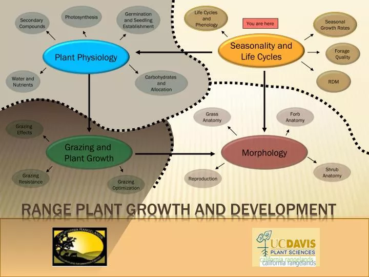 range plant growth and development