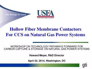 WORKSHOP ON TECHNOLOGY PATHWAYS FORWARD FOR CARBON CAPTURE &amp; STORAGE ON NATURAL GAS POWER SYSTEMS Howard Meyer,