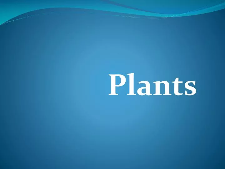 plants