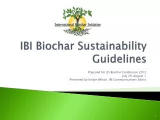 IBI Biochar Sustainability Guidelines