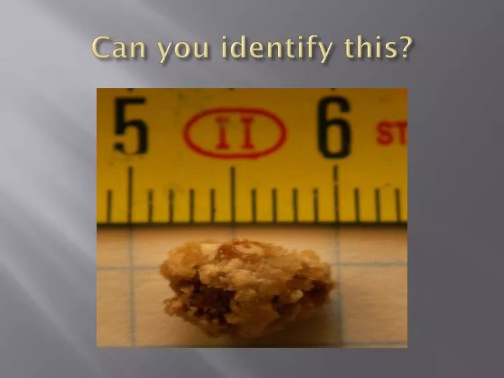 can you identify this