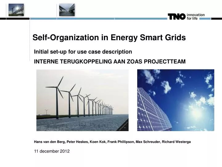 self organization in energy smart grids